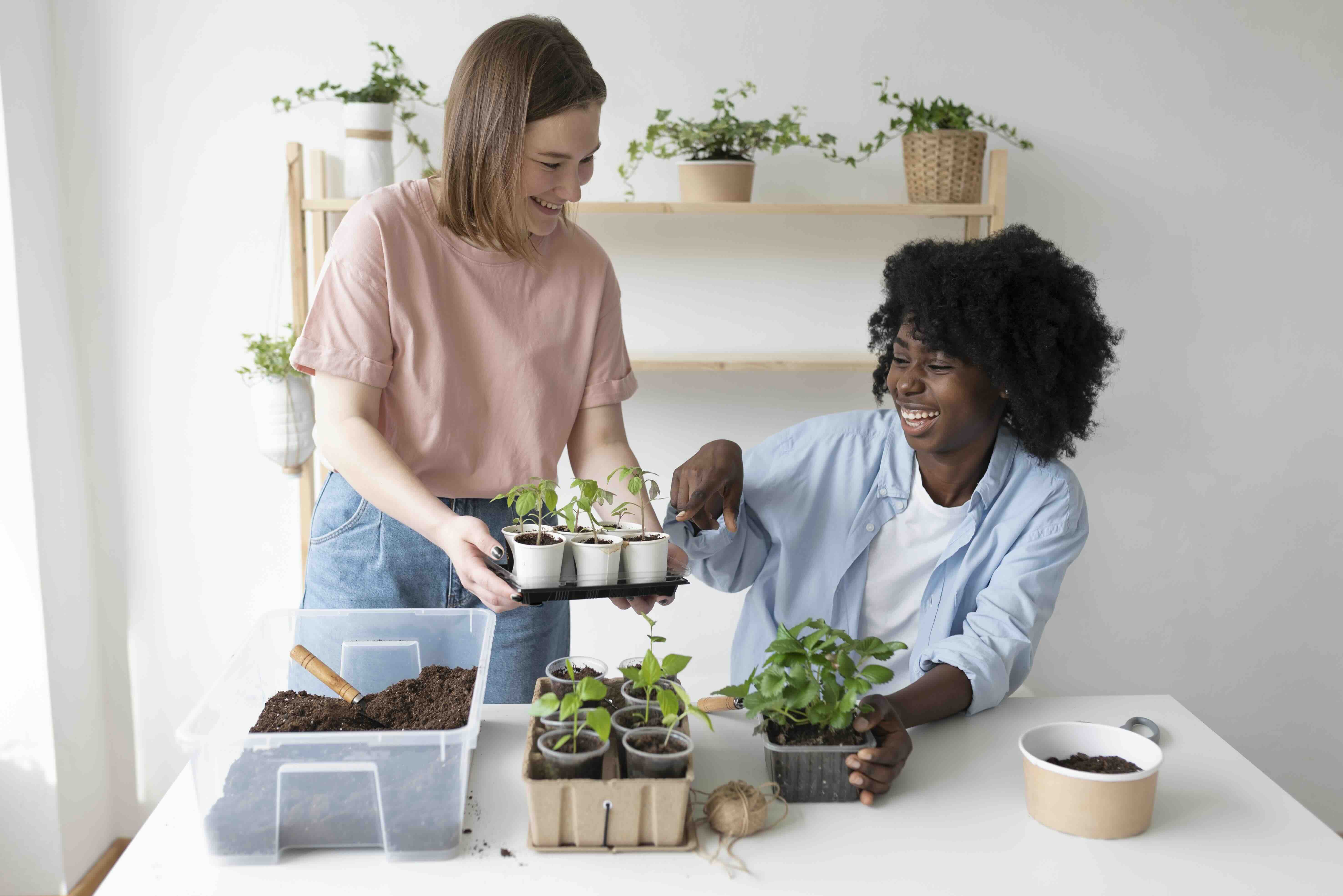 Modelos de Negocios y Estrategias de Mercado para Bioemprendimientos Verdes GIZ_BIOEMPR01