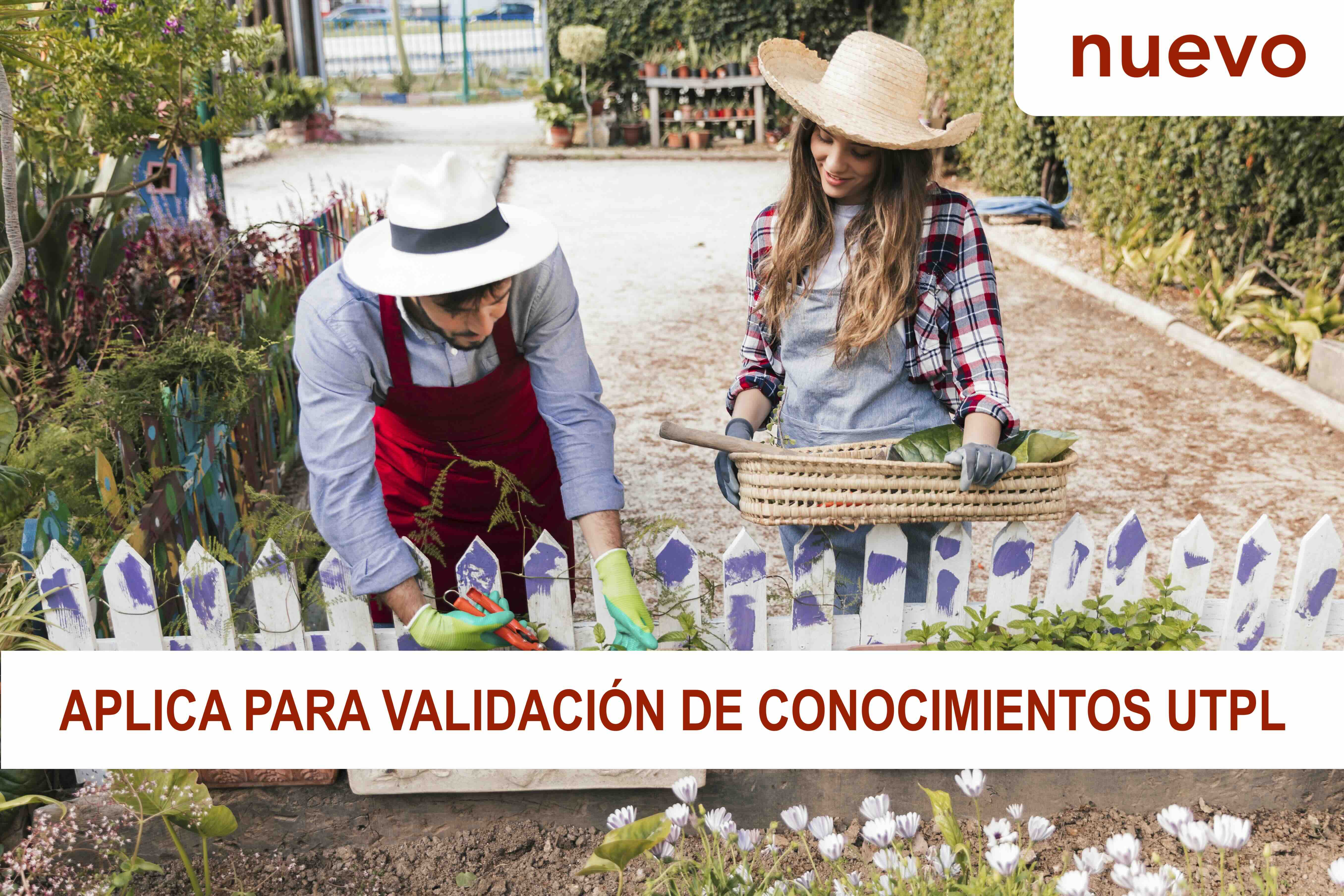 Huertos familiares (Edición 24) HG24