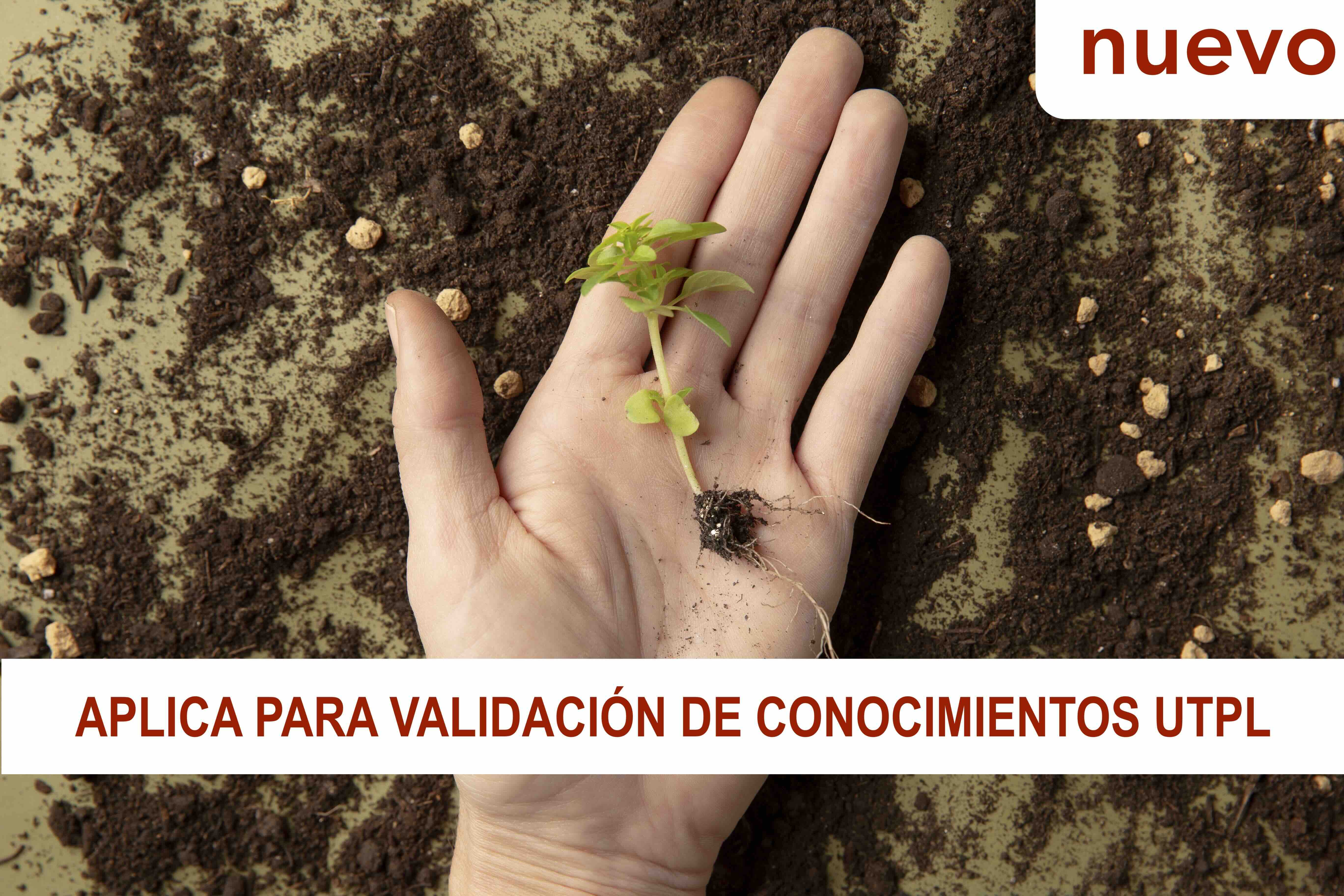 Manejo del recurso suelo (Edición 24) SRM24